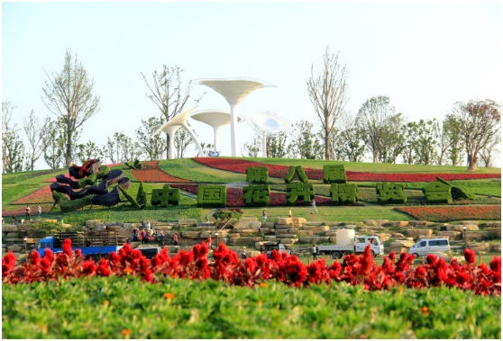 The 8th China Flower Expo
