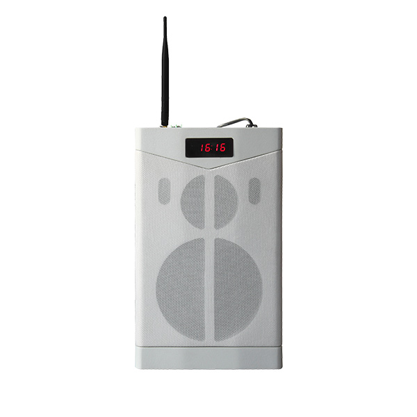 MAG6363G Alto-falante de ensino de rede Bluetooth com microfone sem fio 2.4G