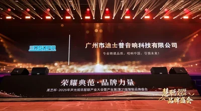 DSPPA | Shines at the 2025 Huicong Brand Event with Top Honors - 翻译中...